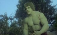 The Incredible Hulk (Image via CBS, NBC)
